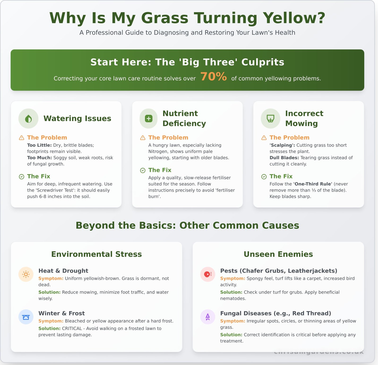 Why Your Grass is Turning Yellow: A Professional Guide to a Greener Lawn - Infographic